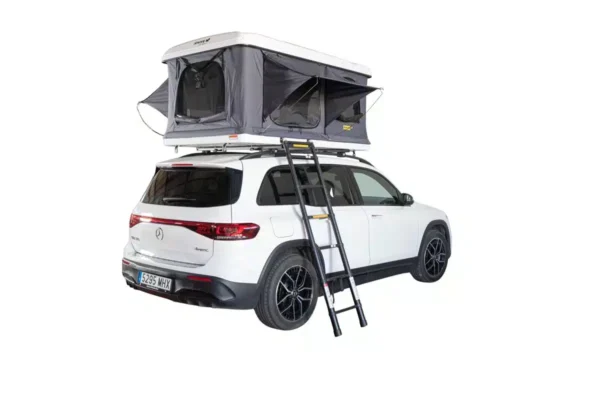 DSB03920-copia DSB03920-copia