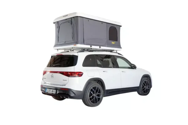 DSB03985-copia DSB03985-copia